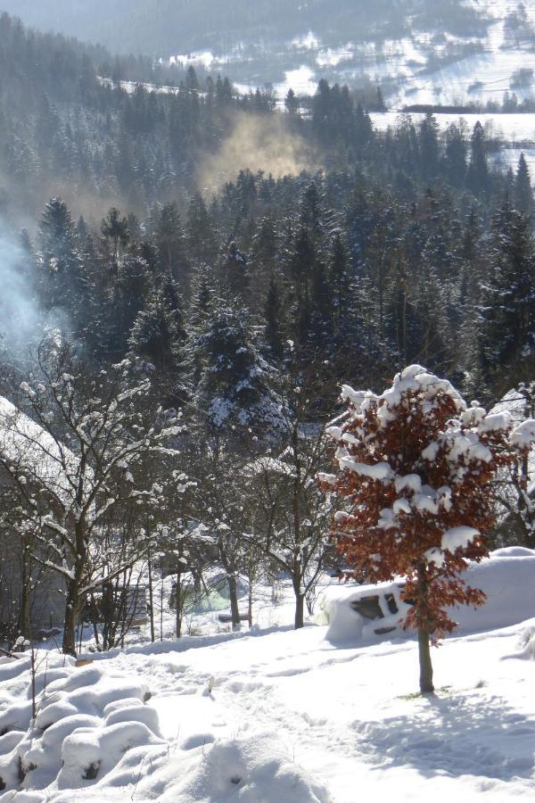 Domki Z Prywatna Sauna- Na Szlaku Milówka Dış mekan fotoğraf