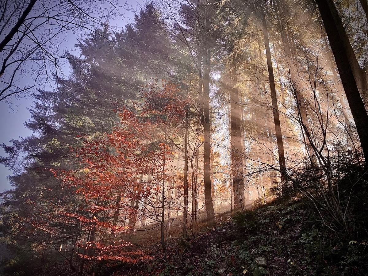 Domki Z Prywatna Sauna- Na Szlaku Milówka Dış mekan fotoğraf