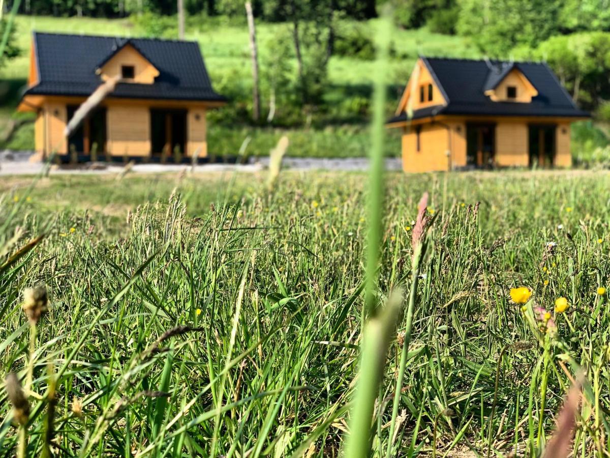 Domki Z Prywatna Sauna- Na Szlaku Milówka Dış mekan fotoğraf