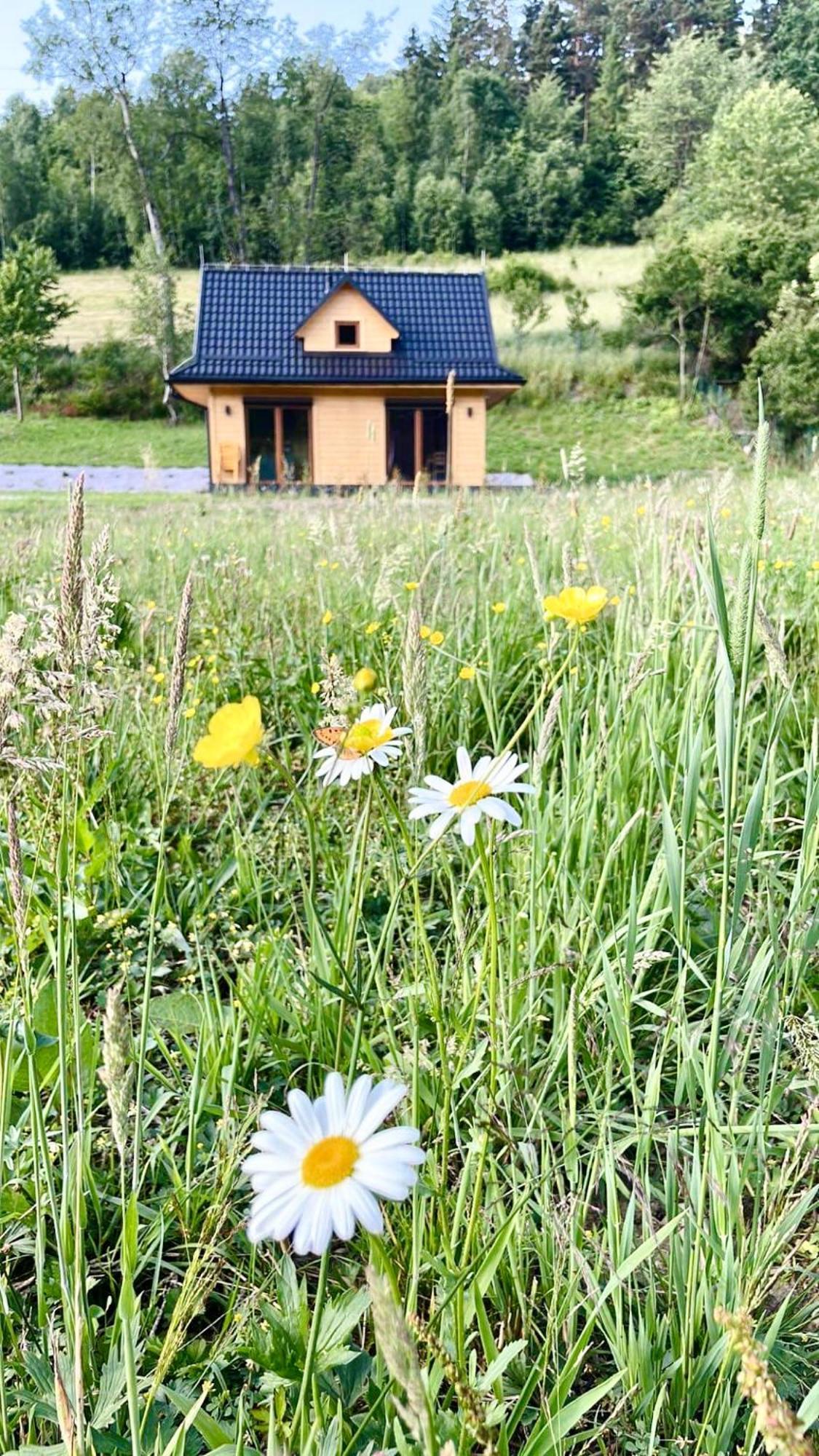 Domki Z Prywatna Sauna- Na Szlaku Milówka Dış mekan fotoğraf